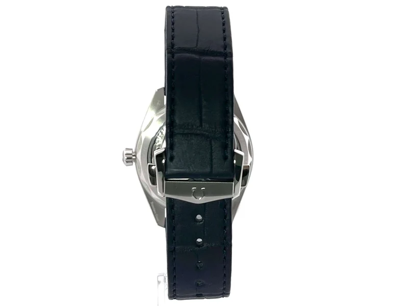 Omega Seamaster Aqua Terra Master Chronometer 220.13.41.21.03.001