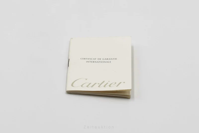 Cartier Pasha steel automatic men's watch W3103755 [2501150]