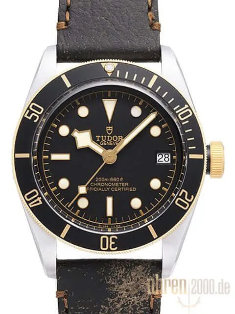 Tudor Heritage Black Bay Steel Gold 79733N-0001 Lederband