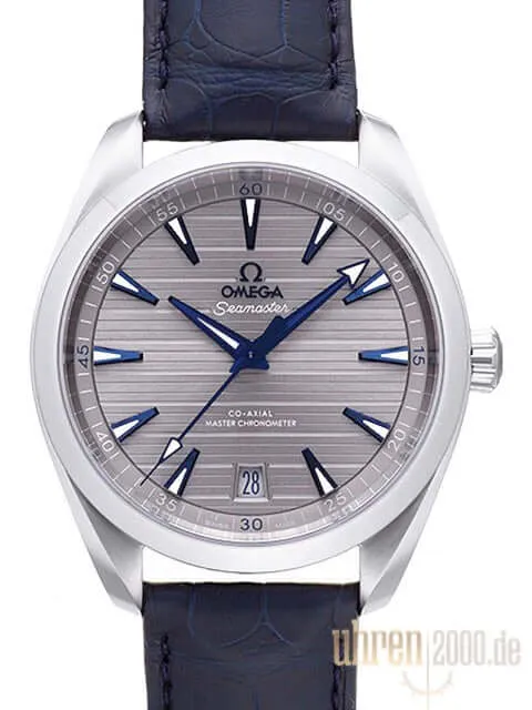 Omega Seamaster Aqua Terra Master Chronometer 220.13.41.21.06.001