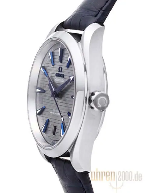 Omega Seamaster Aqua Terra Master Chronometer 220.13.41.21.06.001