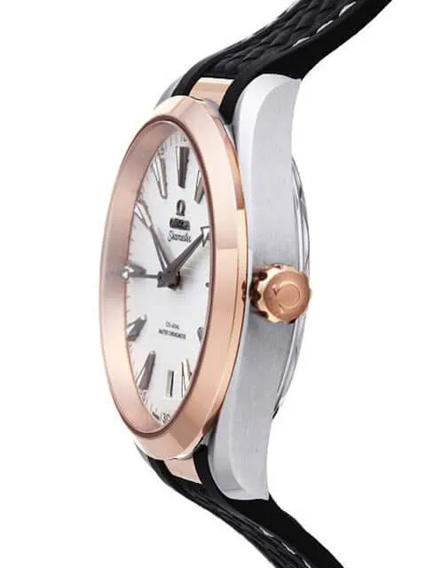 Omega Seamaster Aqua Terra Master Chronometer 220.22.41.21.02.001