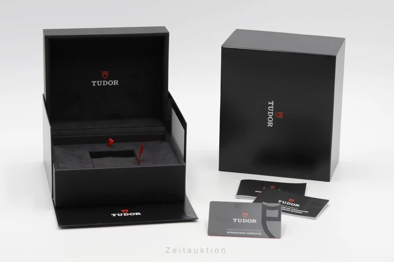 Tudor Style steel automatic men's watch 12510 [2503907]