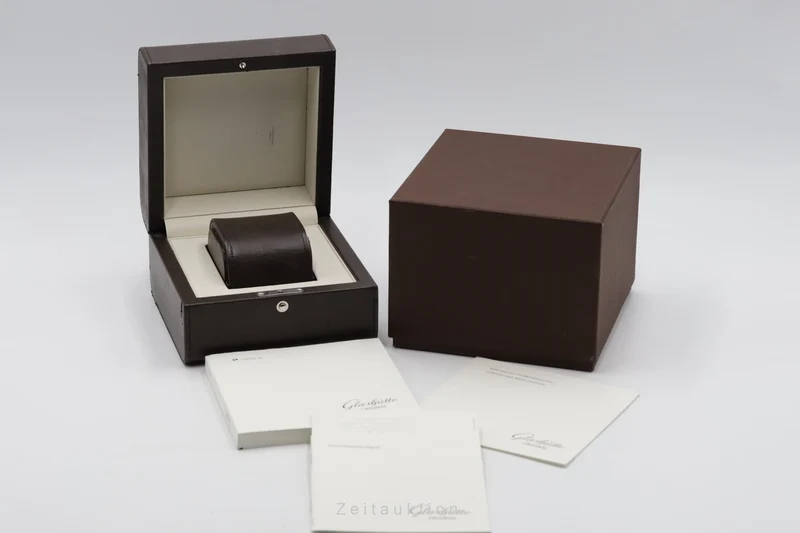 Glashütte PanoMaticLunar steel automatic men's watch 90.02.42.32.24 [2504315]