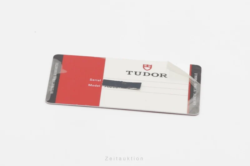 Tudor Date-Day steel / gold automatic men's watch 76213 [2503113]