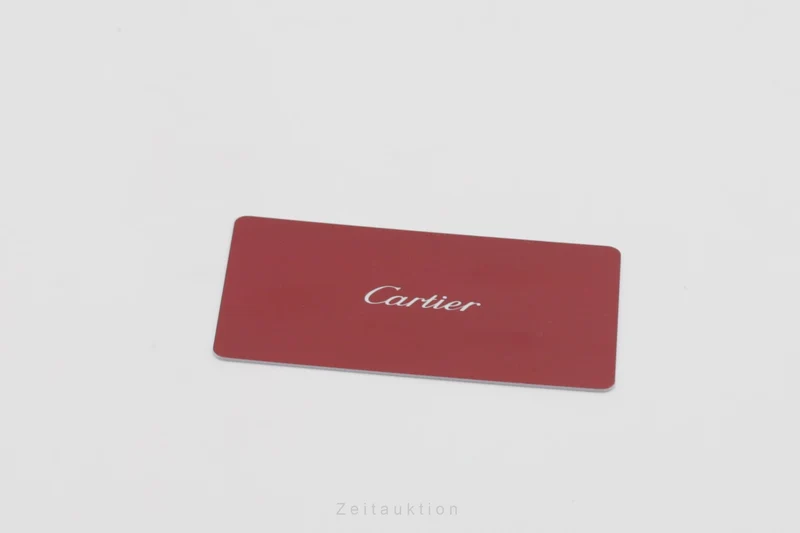 Cartier Pasha steel automatic men's watch W3109255 [2503596]