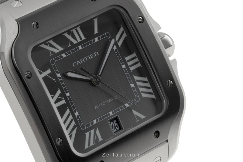 Cartier Santos steel automatic men's watch WSSA0037, 4072 LP: 8650EUR [2401058]