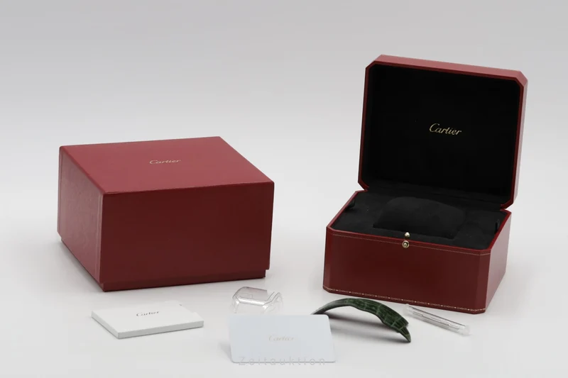 Cartier Santos steel automatic men's watch WSSA0055 [2503826]