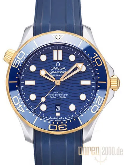 OMEGA Seamaster Diver 300 M Master Chronometer 210.22.42.20.03.001