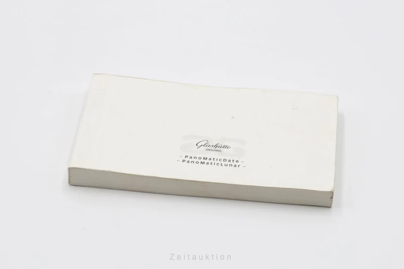 Glashütte PanoMaticLunar steel automatic men's watch 90-02-36-12-05 [2503332]