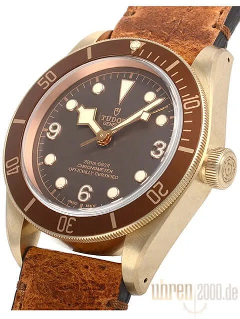 Tudor Heritage Black Bay Bronze Leder 79250BM-0005
