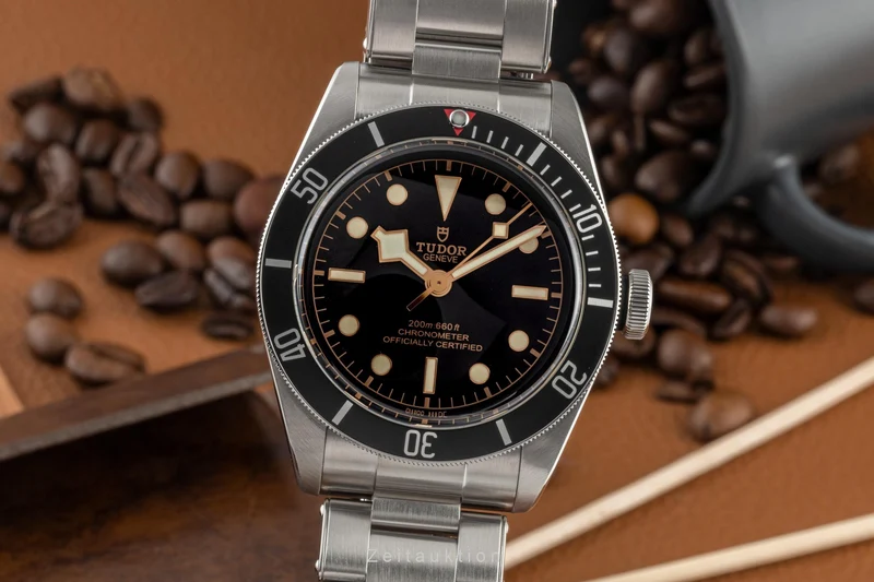 Tudor Black Bay steel automatic men's watch 79230N LP: 4030EUR [2304248]