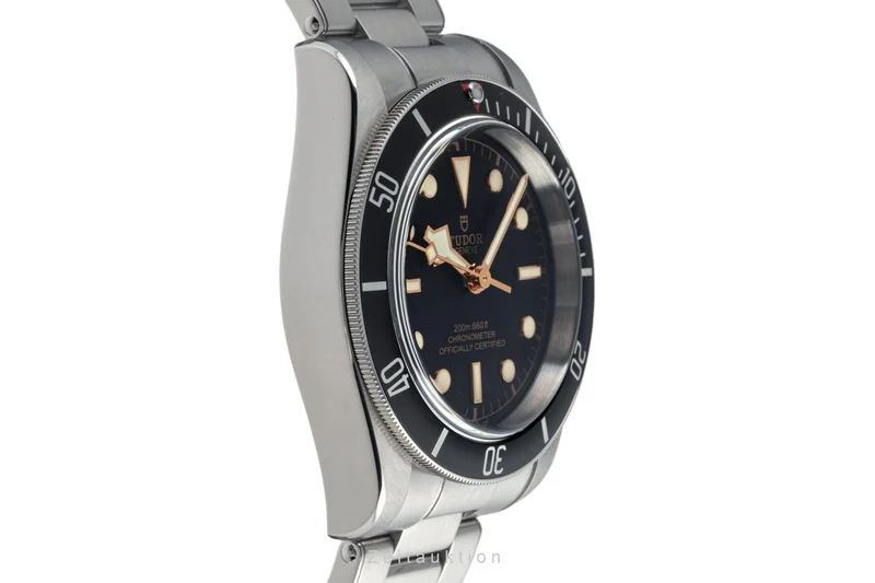 Tudor Black Bay steel automatic men's watch 79230N LP: 4030EUR [2304248]