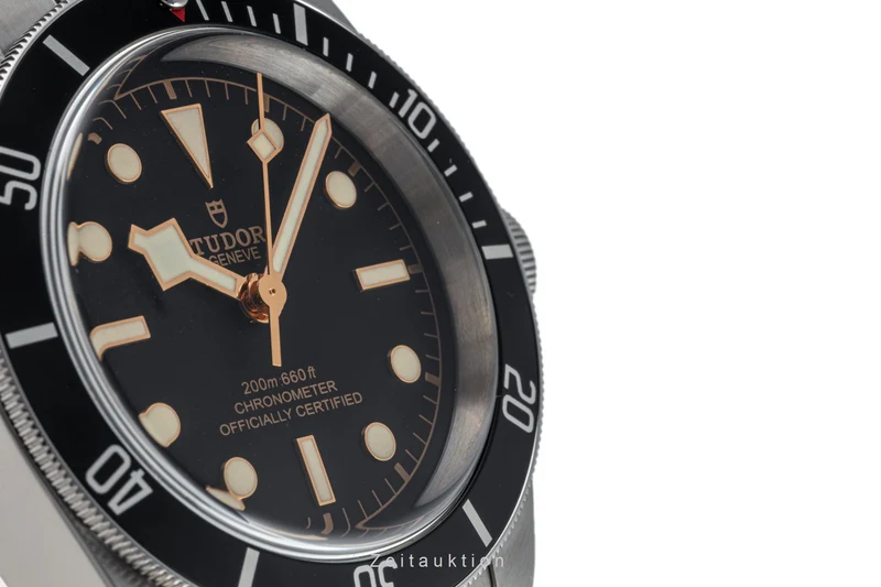 Tudor Black Bay steel automatic men's watch 79230N LP: 4030EUR [2304248]