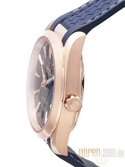 Omega Seamaster Aqua Terra Master Chronometer 220.52.41.21.03.001