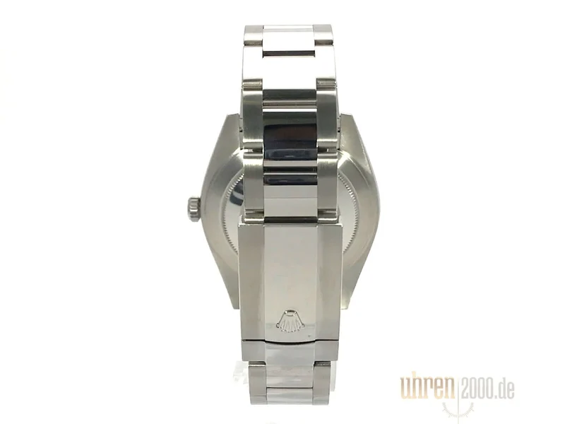 Rolex Datejust 41 Edelstahl Weißgold 126334 Silber aus 2018 LC100